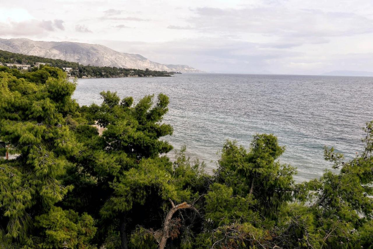 Siagas Beach Hotel Агиои Теодорои Экстерьер фото