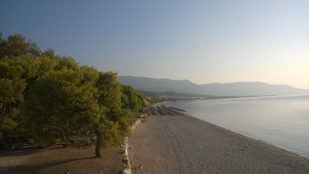 Siagas Beach Hotel Агиои Теодорои Экстерьер фото