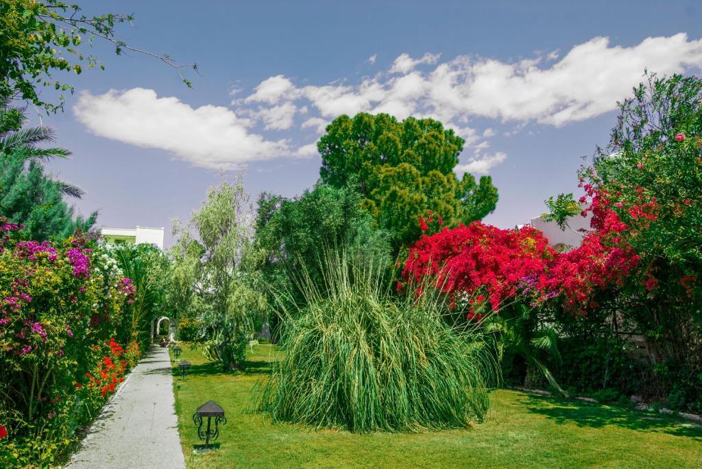 Siagas Beach Hotel Агиои Теодорои Экстерьер фото